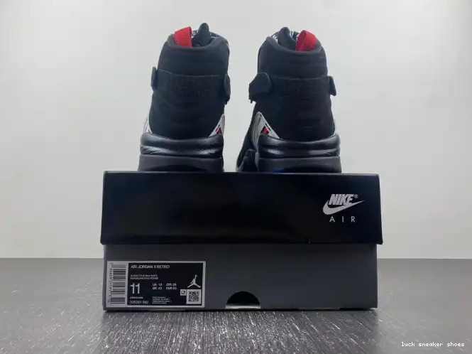 Rep LUCY 8 Playoffs 305381-062 Jordan Air 0507